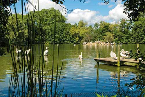 Camping Le Nid du Parc