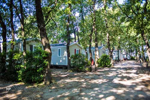 Camping Le Bois des Écureuils