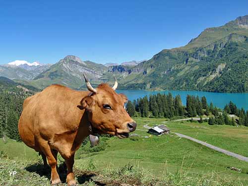 Camping l'Eden de la Vanoise