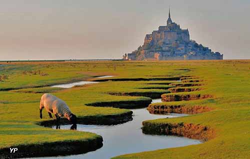 Camping Les Mouettes