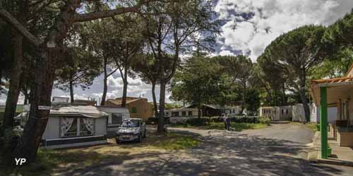 Camping Les Pins Le Congo