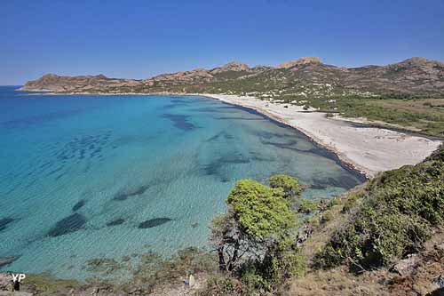 Village de l'Ostriconi Camping