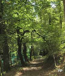 Au Bois de Calais