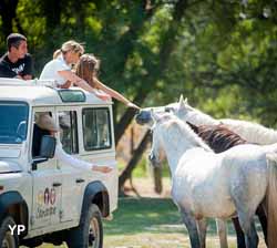 Camping Abri de Camargue