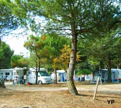 Camping Municipal de l'Orgatte