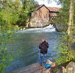 Au Vert de l'Authie (doc. Au Vert de l'Authie)