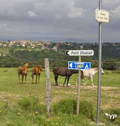 Camping l'Oasis