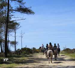 Camping Atlantic Club Montalivet