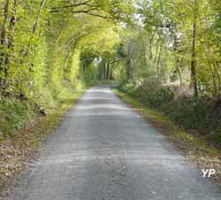 Camping municipal - chemin Quincampoix