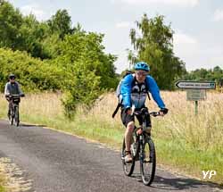 Camping Sites et Paysages Les Saules