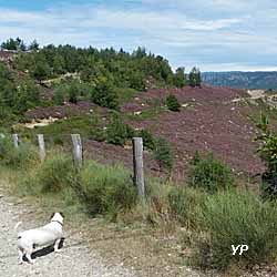 Camping du Lac