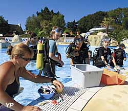 Camping Sandaya Les 2 Fontaines