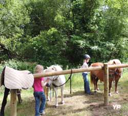 Camping Sandaya Les 2 Fontaines