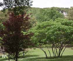 Camping Château de Fereyrolles