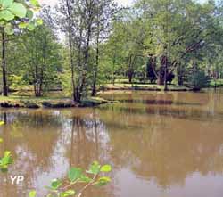 Camping de La Murée (doc. Camping de La Murée)