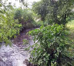 Camping des Etangs de Marsalin