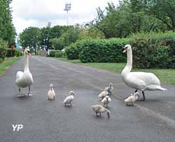 Camping municipal d'Epernay