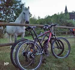 Camping Au Bord de Loire