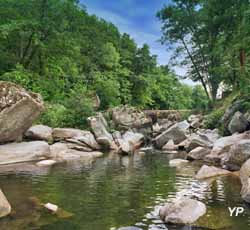 Camping La Salendrinque