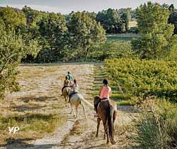 Camping À l'Ombre des Oliviers