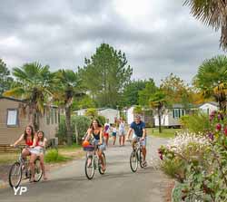 Camping Les Vignes