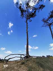 Camping municipal du Gurp