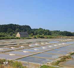 Camping de La Plage