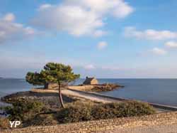 Camping de La Plage