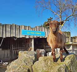 Camping Paradis La Grand Métairie