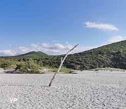 Village de l'Ostriconi Camping