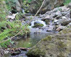 Camping Naturiste du Mas de La Balma