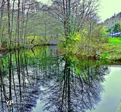 Base de Loisirs du Lac de La Moselotte (doc. Base de Loisirs du Lac de La Moselotte)