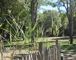 Camping le Bois Verdon