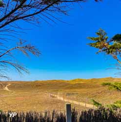 Camping La Pomme de Pin