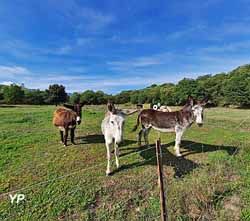 Camping Les Casteillets