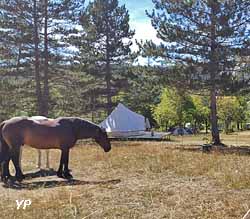 Camping municipal Le Mousserein