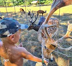 Camping du Domaine de La Dombes