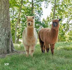 Flower Camping La Hallerais